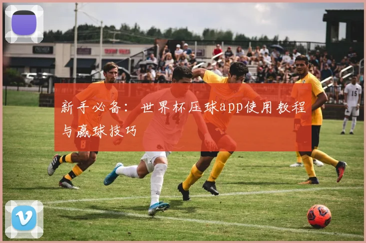 新手必备：世界杯压球app使用教程与赢球技巧