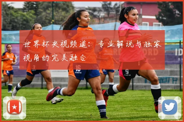 世界杯央视频道：专业解说与独家视角的完美融合