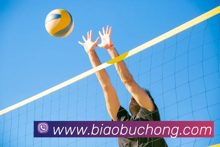 App Interface Preview