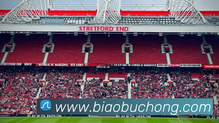 k1体育app官网登录APP 封面图